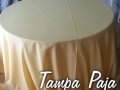 tampa-paja